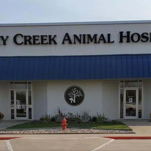 Family Pet Hospital Perry Creek 0131 - Building Exterior